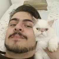 Reza Savabi的照片