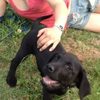 Julia Borsos's Photo