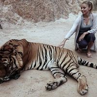 Le foto di Naty Ceed