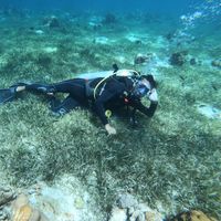 Le foto di Mizuki Nakamura