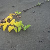 elceibo backpakers's Photo