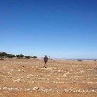 Hazem Bannoura's Photo