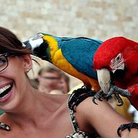 Monika Płocha's Photo