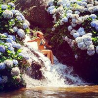 Rebecca Arruda的照片