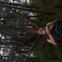 Фотографии пользователя jorge arango