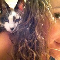 Karen Black的照片