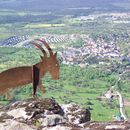 Trekking, Goat Route in El Boalo's picture