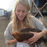 Hannah Bernstein的照片