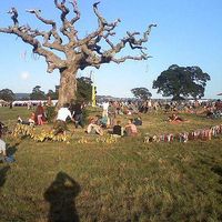 TOM MILTON COOK's Photo