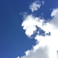 Le foto di Keiko Marubayashi