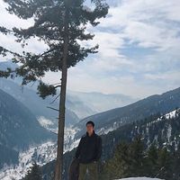 Jin Sakurai的照片