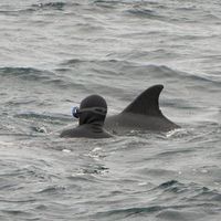 Fotos de Paul de Rancourt