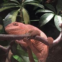 Photos de Marleen Senthin