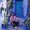 Denis Miroshnichenko's Photo