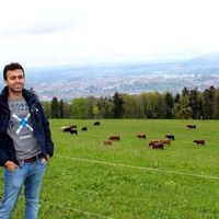 Vedant Bhardwaj的照片