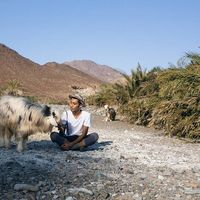 mohammed Al-Hinai's Photo