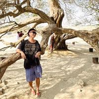 Noritorion  Kawanoshima的照片