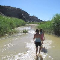 Sarien Hibbert's Photo