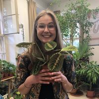 Hana Kyzlinková's Photo