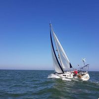 Ica Papadopol的照片