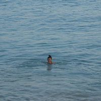 Lorraine Vernier's Photo