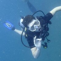 Fotos de Benjamin Gard