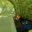 Camping On Ada Lake Hosting And Hangouts's picture