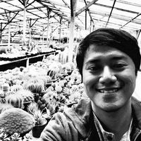 Fotos de Bayu Kusuma