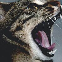 Anthony Aldred的照片