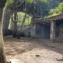 Senderismo En Chapultepec/Parque Carpatos's picture