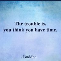 Katia HACHEMI's Photo