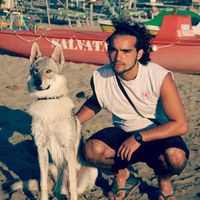 Nima Keyvan的照片