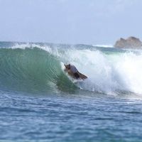 barney ronchi-robinson的照片