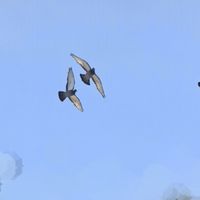 Nour Benkadjouh's Photo