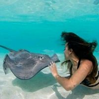 Ezgi Sobaci的照片