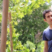 Fotos de Mohammad Shakeri