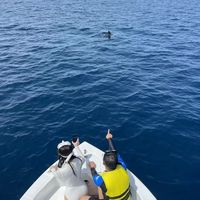 Qing Qing Xu's Photo