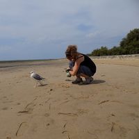 Bérénice Boerez的照片