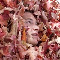 Tim Forslund's Photo