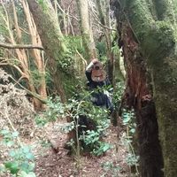 Фотографии пользователя Coipokö Jerium