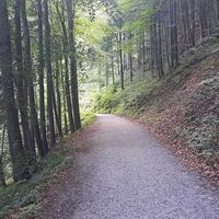 Ahmed Al Attas的照片