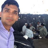 Alireza Raisee's Photo