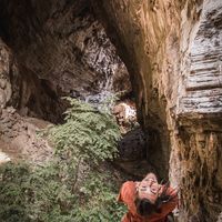 Cristobal Zamora's Photo