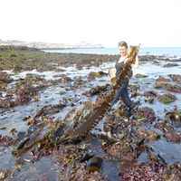 Creachcadec Florence's Photo