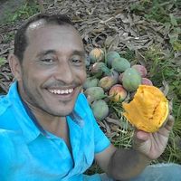 Pedro Perez的照片