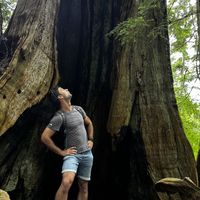 Luke Stratmann的照片