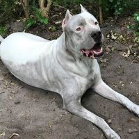 David Cerezo的照片