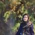 Фотографии пользователя Nahal Bagheri