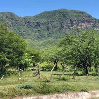 Alfonso Aguilar's Photo