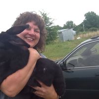 Fotos von Crystal Willett